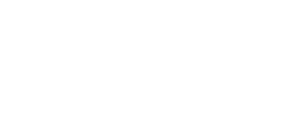 The original project build cost.