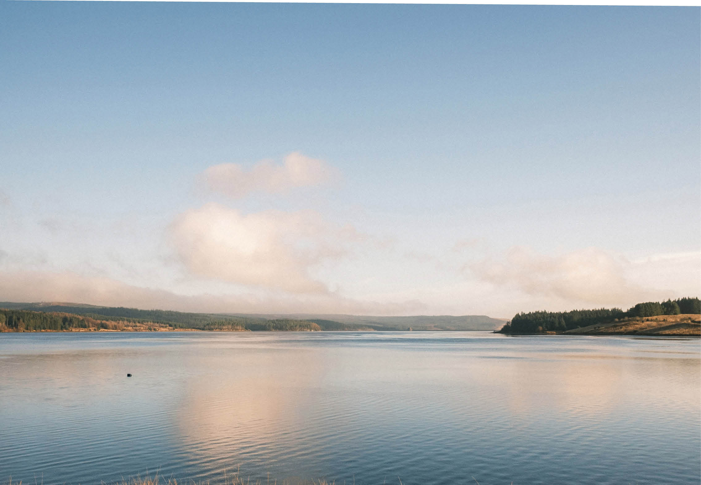 Kielder England: 11th January 2022: Warm sun shining through trees in beautiful Keilder Forrest. Stunning dramtic colours